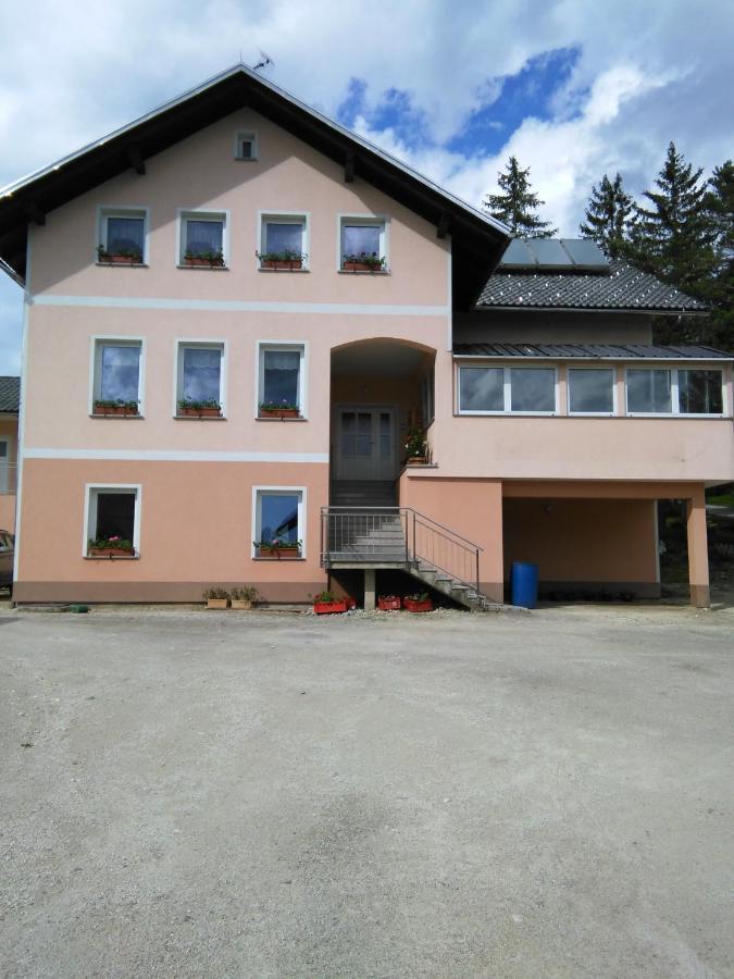 Kmetija Knavs Farm stay